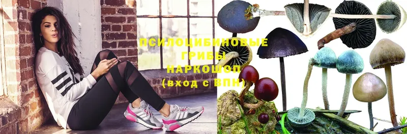 Псилоцибиновые грибы Magic Shrooms  Долинск 